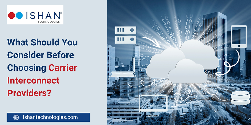 carrier interconnect providers