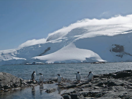 Antarctica Cruises: The Complete 2026 Buyer’s Guide