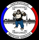 logo patu.JPG