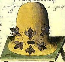 The Host in the Hive