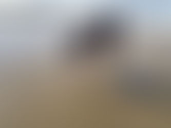 Ba/Ca in cockle shells can be used as a salinity proxy