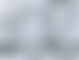 Global Risks Report 2024