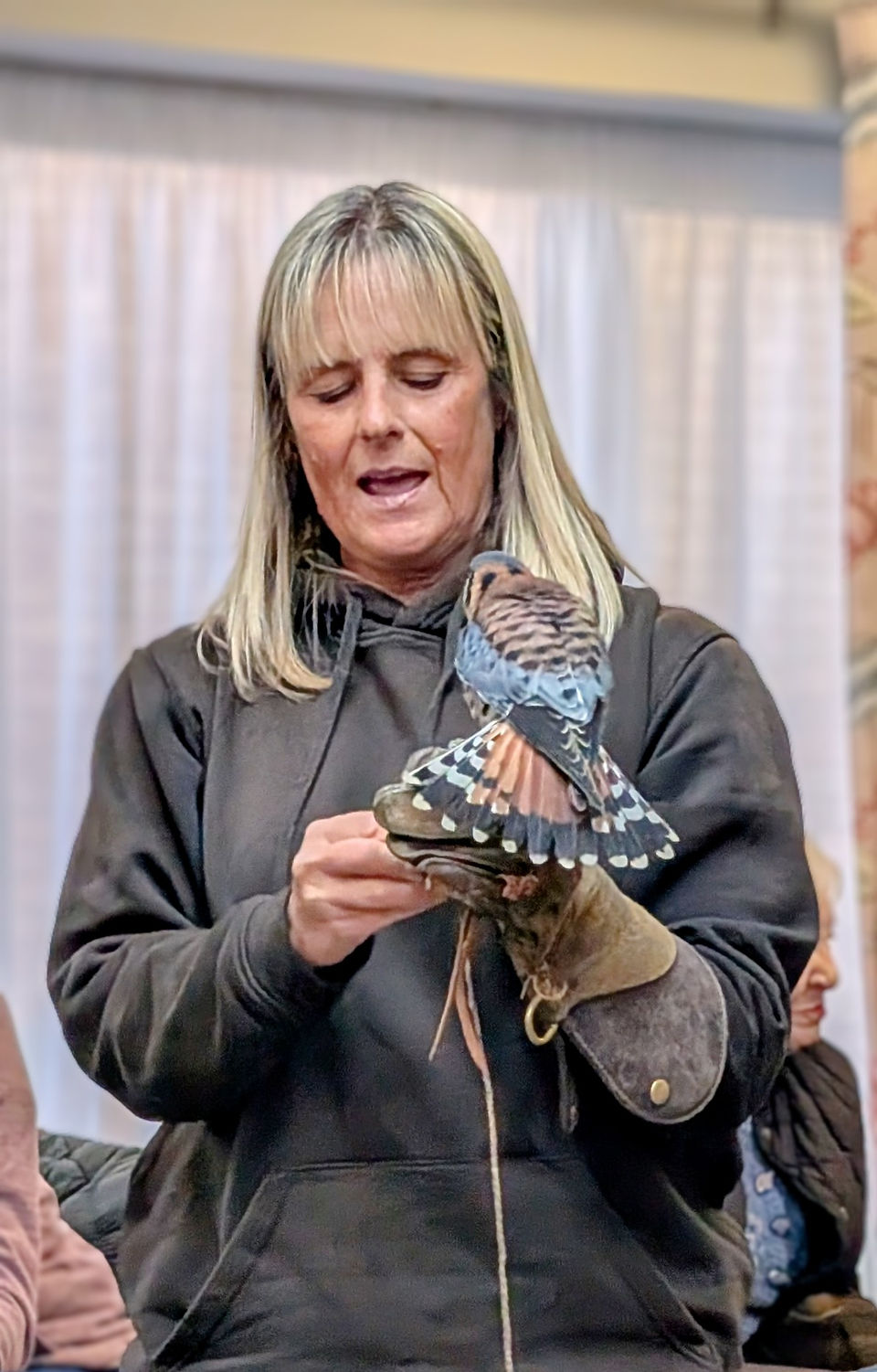Bird from walks with hawks