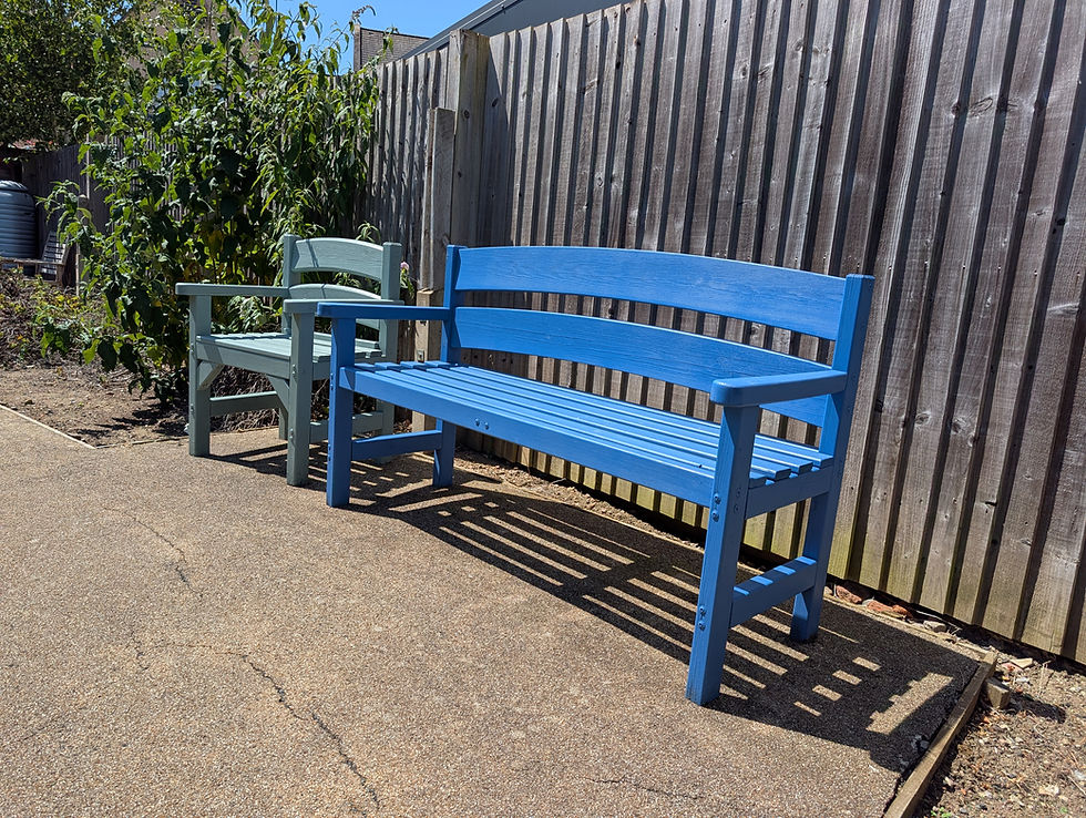 Blue benches in garden