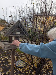 residents placing bird food on bird tables