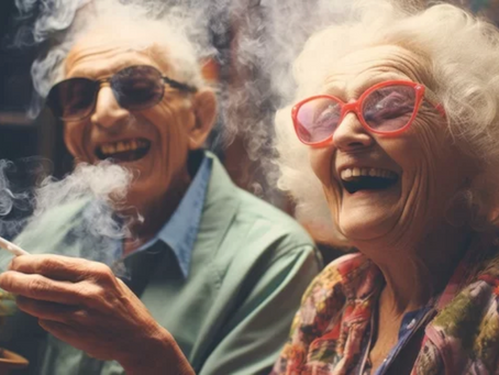 A Beginner’s Guide to Cannabis Consumption: Navigating Your First Trip to the Cannaverse