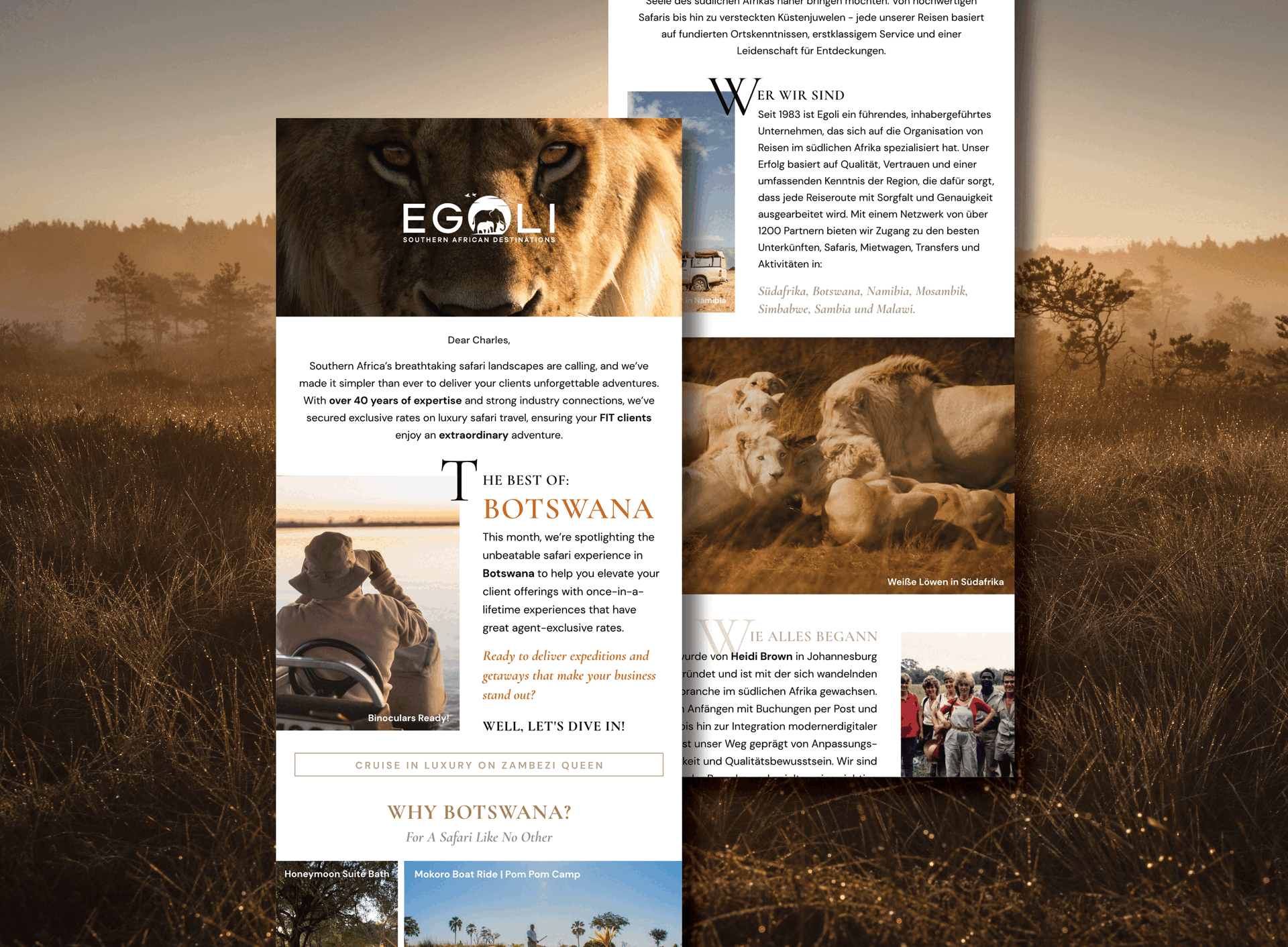 Egoli email newsletter designed by DesignWellWithSarah, a Cape Town digital designer, featuring a clean and modern email marketing layout