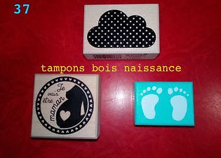 124223339_366981211081401_64644287049676