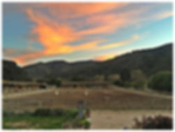 cottage.jpeg
