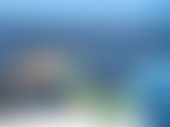 Fishing the Negative Tides