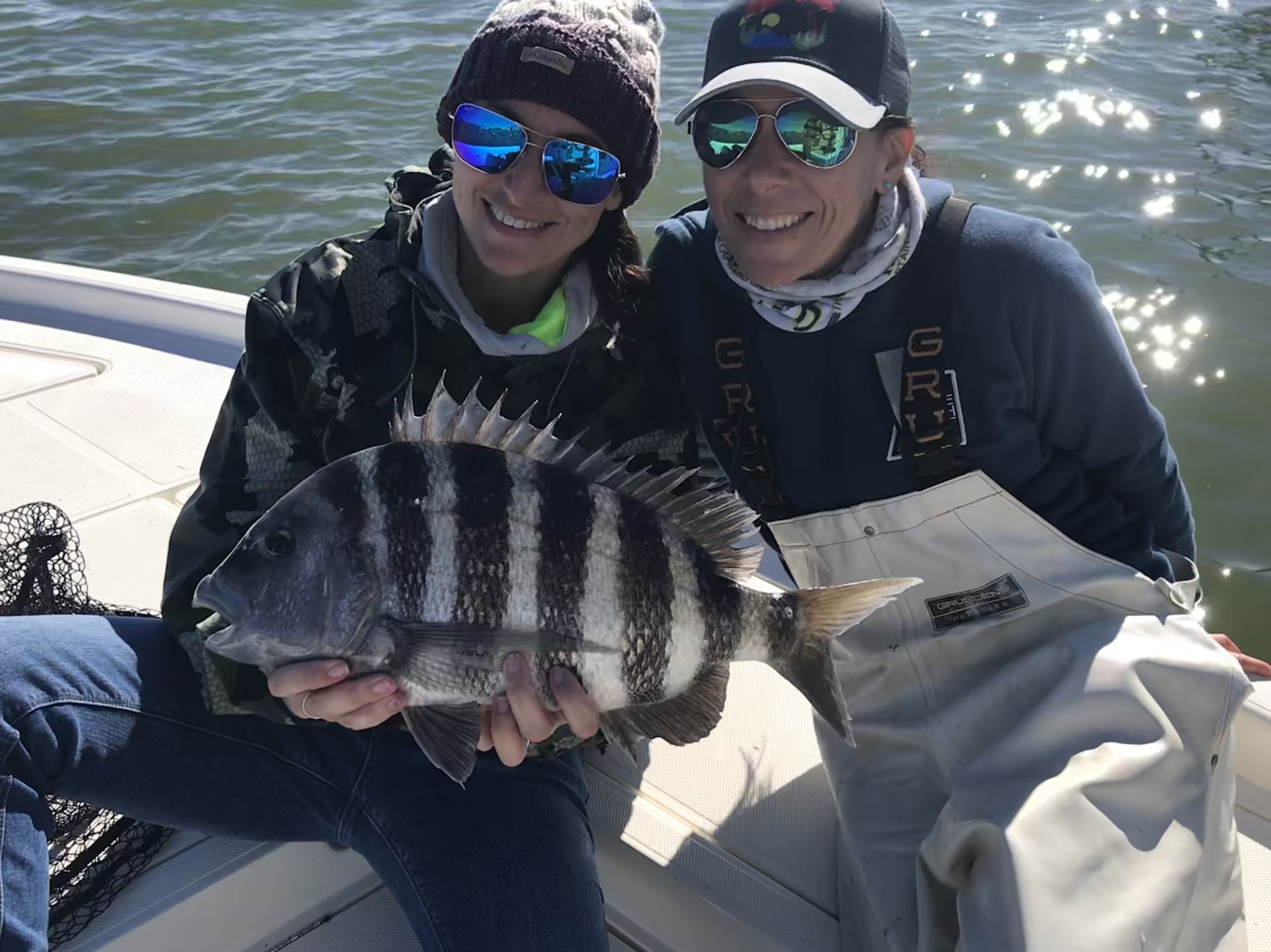 big sheepshead fish