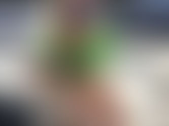 The Online Fishermen Report November