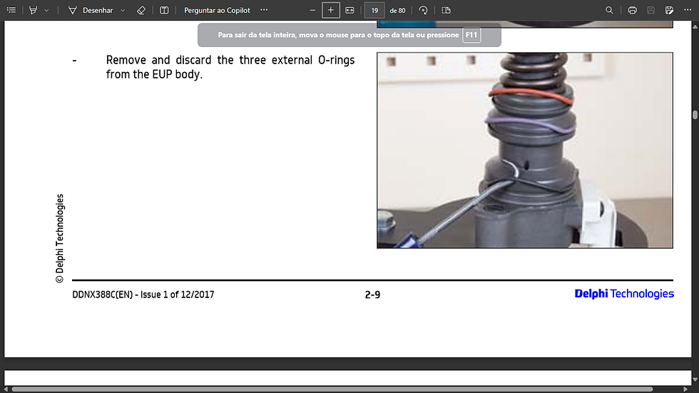 Miniature : DELPHI - WORKSHOP MANUALS - COMMON RAIL INJECTORS AND PUMPS.