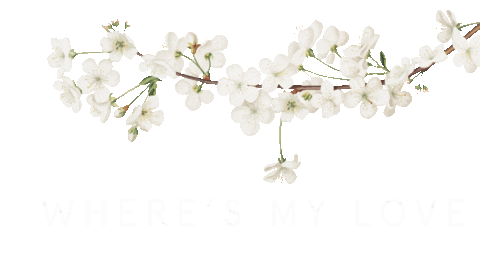 syml 3.gif