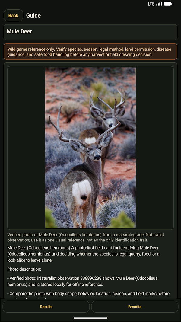 screen-wildgame-3.webp