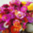 flowers.jpg
