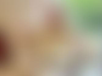 menu autour de la noix à la résidence seniors Agora de Souillac