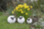 zie rubriek dierenplezier