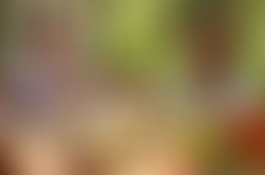 NATURALEZA Y DESCANSO