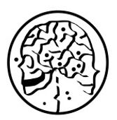 Logotipo representado pelo desenho de um crânio de uma lado e de um cérebro do outro