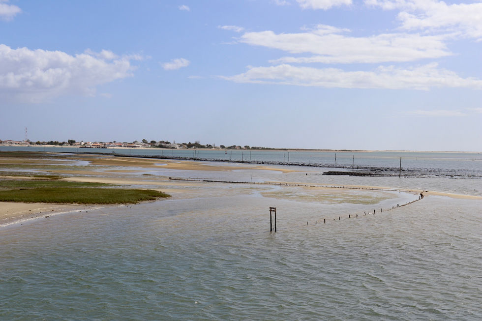 Rio Formosa
