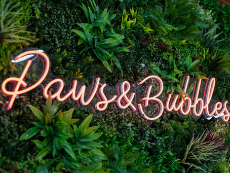 Welkom bij Paws & Bubbles 🐾🫧