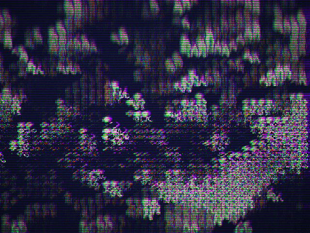 MOSHED-2021-12-31-16-13-55