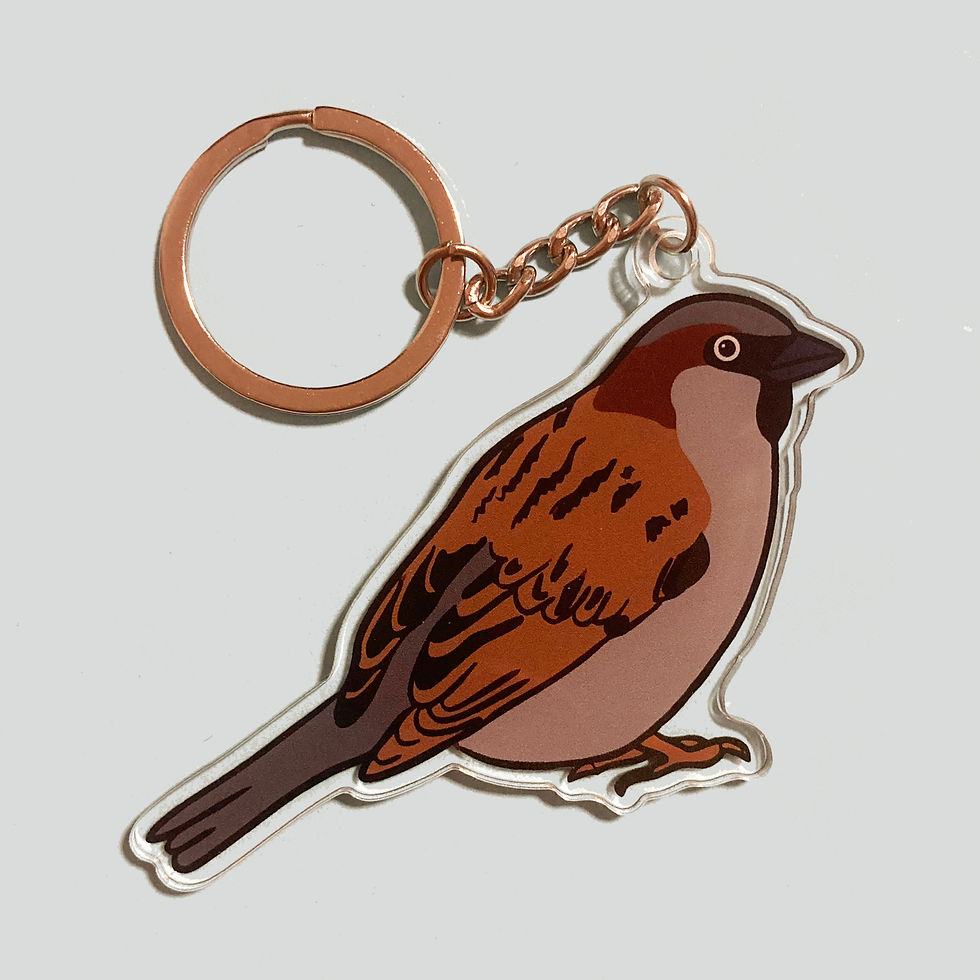 מחזיקי מפתחות אקריליים