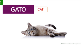 Preview Vocab7(1).png