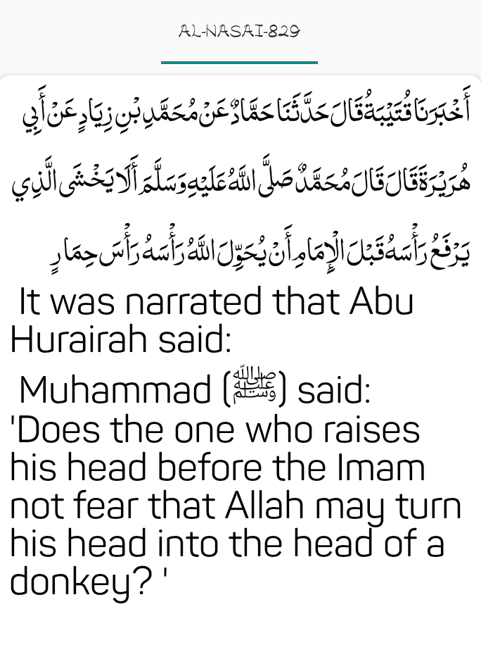 Nasai #829 don't raise head before the i