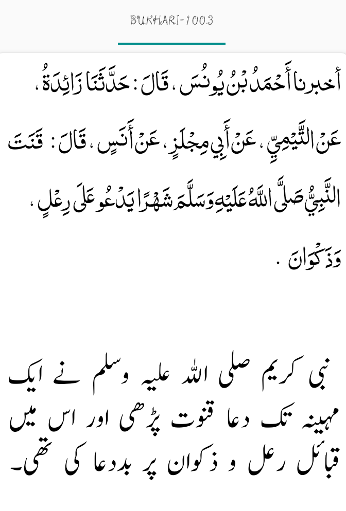 Bukhari #1003 witr fajr or maghrib ki na