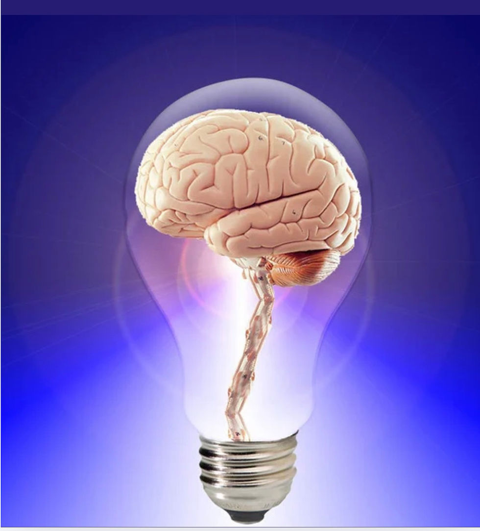 RUMINAÇÃO E EXCESSO DE PENSAMENTO: UMA ANÁLISE COGNITIVA E METACOGNITIVA