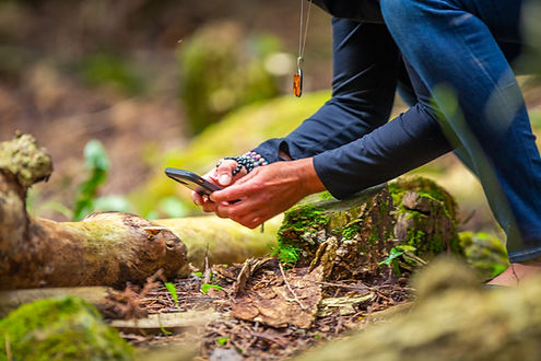 You never know what you will come across in the Protected Forest at Riverside Retreat