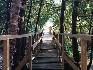 Cross the bridge into the Protected Forest at Riverside Retreat, magical, healing energy awaits