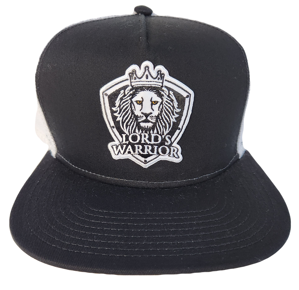 Thumbnail: 154  Mid Profile Trucker Snapback