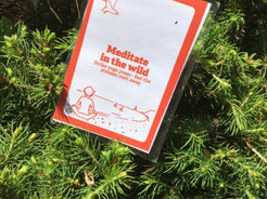 Meditate In The Wild