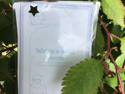 Write A Wild Poem