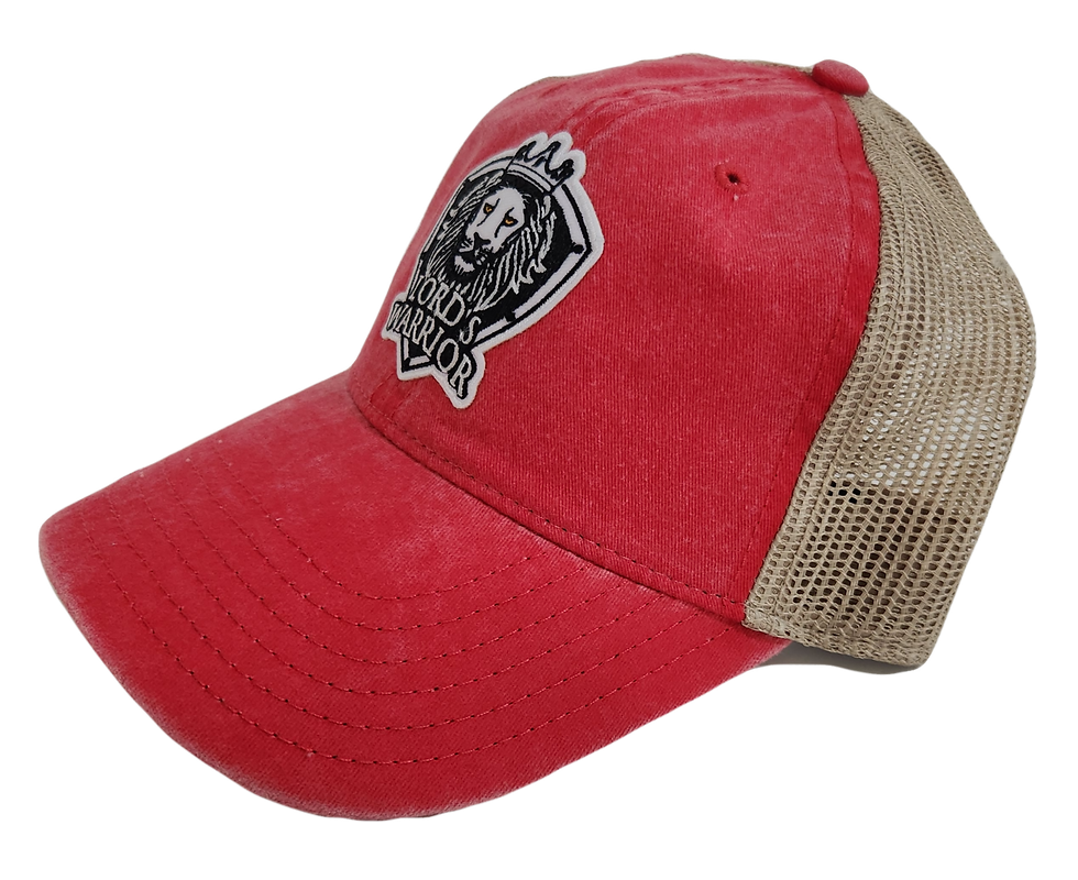 Thumbnail: Washed Mesh snapback Trucker