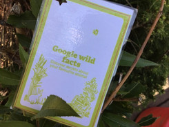 Google Wild Facts