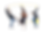 '97写真1.png
