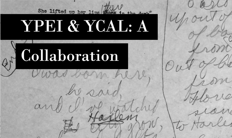 YPEI Collaborates with Beinecke Library's Collection of American Literature