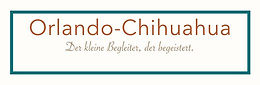 Orlando-Chihuahua – Der kleine Begleiter, der begeistert.