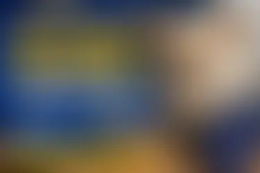 Chihuahua Orlando vor EU-Flagge mit Infos zur geplanten EU Chip-Pflicht für Hunde.