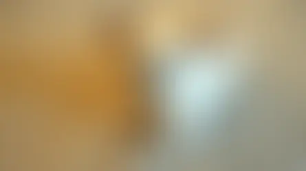 Chihuahua Orlando liegt entspannt mit einem Kauartikel auf dem Teppich, passend zum Vergleich von Trockenfutter und Nassfutter.