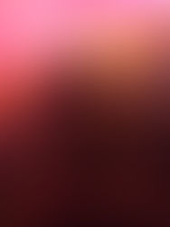 Fashionplate- Goldie Cross Bodysuit at Taco Electrico