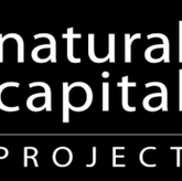 In partnership with The WILD Foundation, Sanjay Gandhi National Park, and The Natural Capital Project, I produced an intensive GIS analysis with a team of two other Student Consultants. We reported to Daniela Uribe at the WILD Foundation, Brad Eighelberger at the Natural Capital Project, and Shardul Bajikar at Sanjay Gandhi NP.