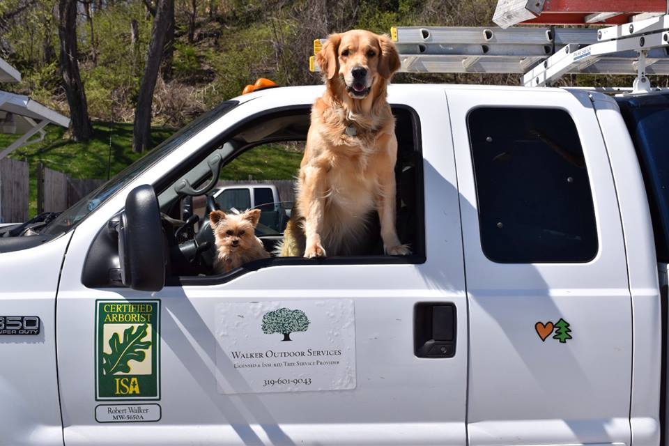 Home walkeroutdoorservice