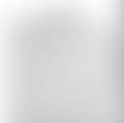 Double Standards for 2A in Virginia