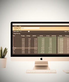 excel budget plannig computer screen _ed