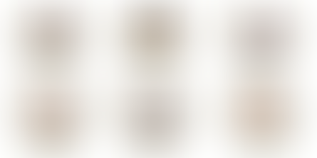 جمعية الصداقة الإيطالية العربية تعزي سفيرة لبنان بشهداء الجيش اللبناني